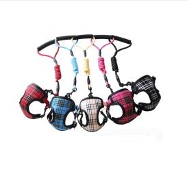 Grid Dog harness with Round leash