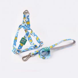 Printed Y-Style Dog harness